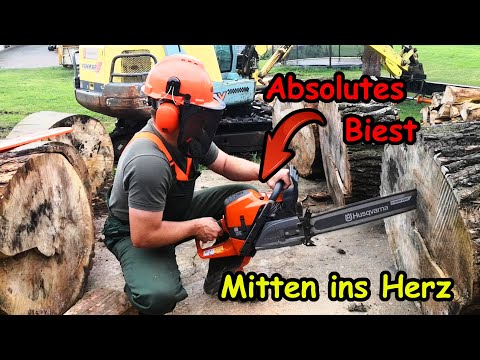Brennholz machen war noch nie so einfach - Husqvarna 592 XP G und Minibagger Yanmar B30V im Einsatz