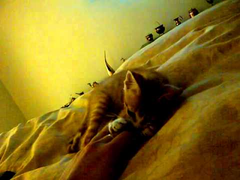 Agata y Jack   Day 2    Vid 5