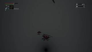 Should have listened...