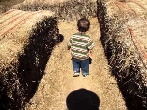 Hay Bale Maze at Vertuccio Farm