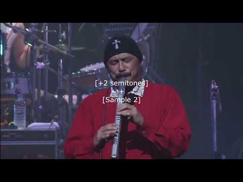 Sampled by J Dilla: J Dilla - I'm So Glad You're Dorothy (26)