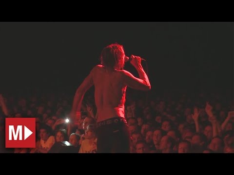 Iggy and the Stooges | Kill City | Live in Sydney