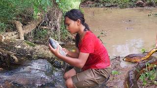 Download lagu Survival skills: Catch fish in river & Fish curry spicy for jungle food, Giant eel soup chili tasty mp3