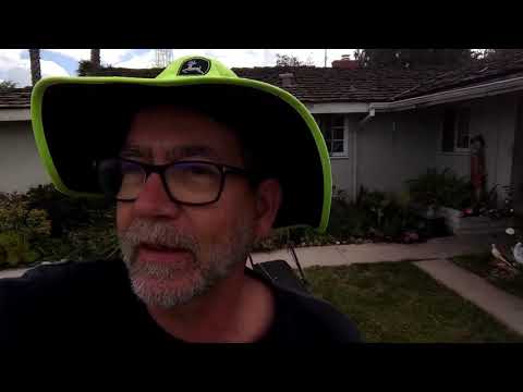 Understanding Microclimates in Your Yard