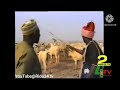Ibro Alkalin Kauye
