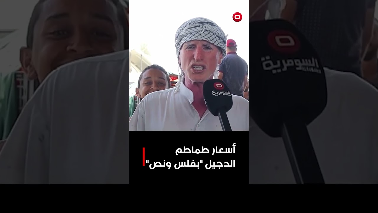 فيديو | أسعار طماطم الدجيل بفلس ونص#shorts