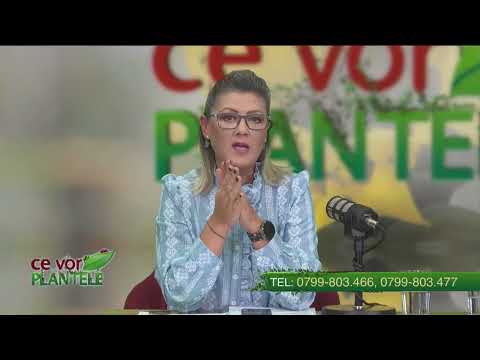 How to protect lemon fruits Cristina Ghibu and Horia Ghibu