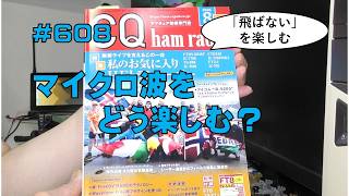 [雑談]マイクロ波をどう楽しむ？