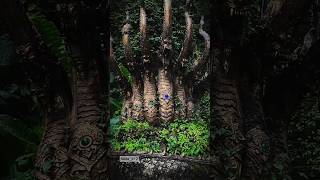 Download lagu Twin snake gates, the road to the snake palace in Thailand #bigsnake #snakeisland #thailand #vira... mp3 Download lagu Twin snake gates, the road to the snake palace in Thailand #bigsnake #snakeisland #thailand #vira... mp3
