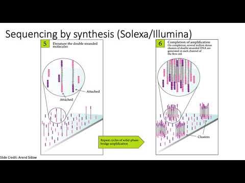 MCB 182 Lecture 2.4 - Illumina SBS sequencing
