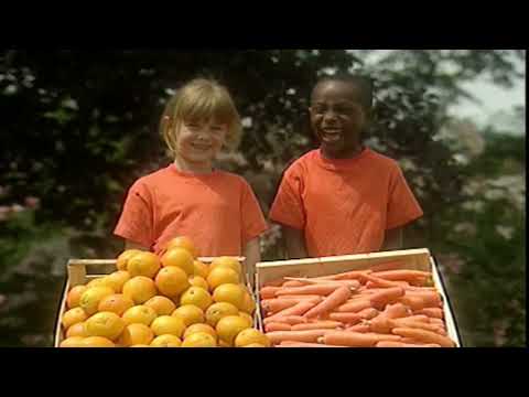 Teletubbies: Colors Orange (US Version with UK Audio)