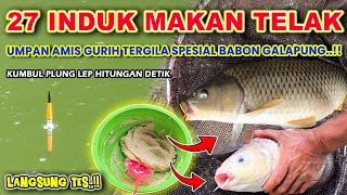 Download lagu THE CRAZIEST SAVORY FISH BAIT RECIPE!! 24 ​​BABONS EATED EVERYTHING JUST USING THIS CARP BAIT ❗❗ mp3