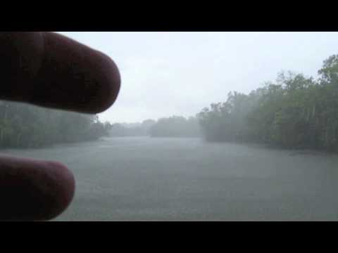 Regnstorm i Sungei Buloh