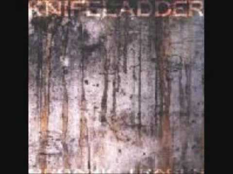 Knifeladder - Red Drum