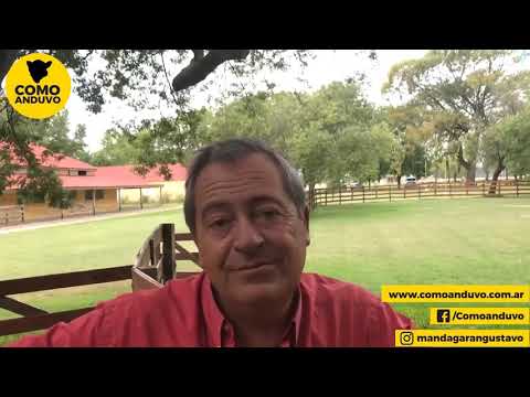 10-02-21 - Adolfo Koerner - Remate de Adolfo S. Koerner & Cía.S.A. - Azul, Bs.As.