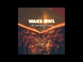 Wake Owl - Vacation [Audio Stream] 