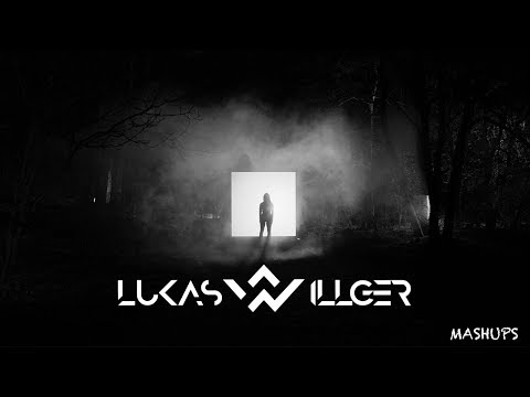 Zen/it - Wave vs. BROOKS - Waiting for you  [ LUKAS WILLGER mashup ]