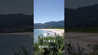 【宮崎】日南フェニックスロードからの眺めに癒される動画#shorts