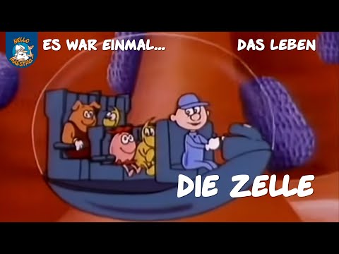 Zuckerreferenzwert des Blutes Rauchen während des Diabetes
