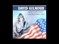 David Gilmour - Near The End 