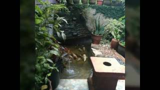 Download lagu Lagu anak : joshua ( di obok obok) mp3 Download lagu Lagu anak : joshua ( di obok obok) mp3