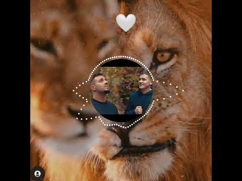 Andrei Despa și Radu Gabriel-simt că zbor 🌹