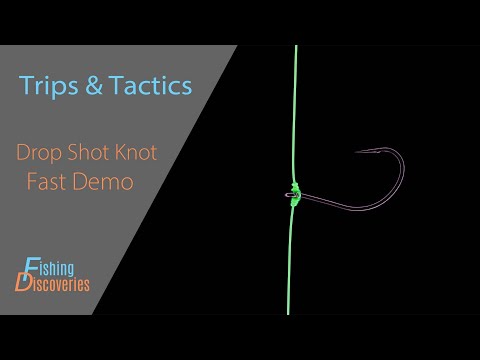 How to Tie a Dropshot Knot Like a Tournament Angler