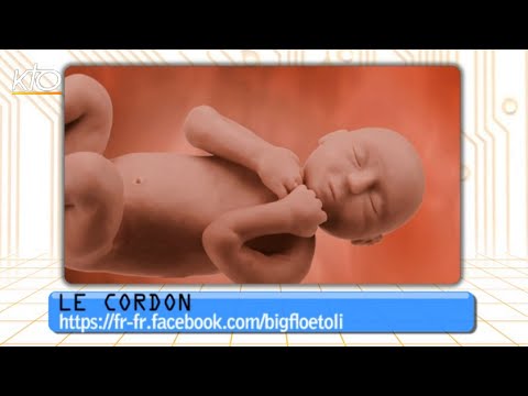 Cathobuzz du 8 mai 2015