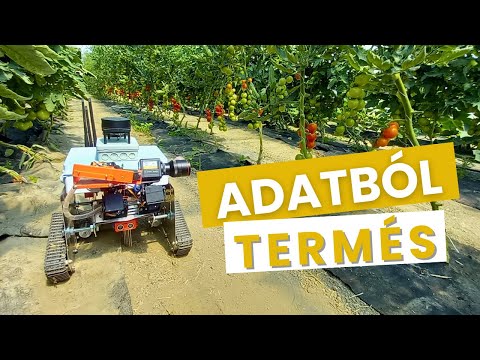 Ilyen, amikor a gépek valós időben működnek együtt a földeken