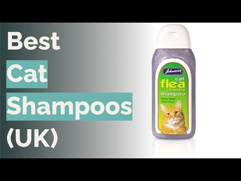 🌵 10 Best Cat Shampoos (Including Hypoallergenic Options and Waterless Sprays)