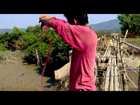 nyi nyi kyaw  thu.avi