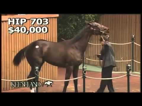 Keeneland September Yearling Sales
