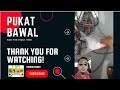 9 Pukat Bawal Tambak Nak Bawal Free Meh Tido Atas Ampai