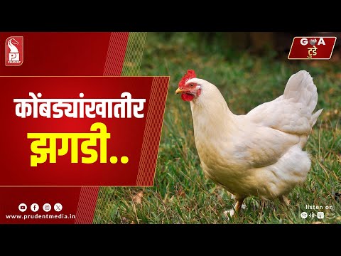 Konkani Prime News 130125