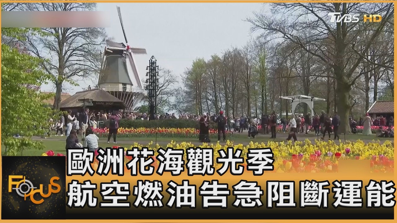 歐洲花海觀光季 航空燃油告急阻斷運能