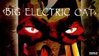 Big Electric Cat - Orchid Dreaming