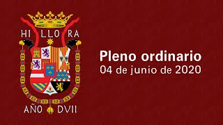 Pleno ordinario del 4 de junio de 2020