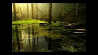 MI DIOS Y MI CRUZ  DONATO Y ESTEFANO