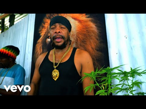 Turbulence - Let It Bloom (Official Music Video)