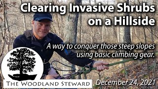 Clearing Invasive Shrubs on a Steep Slope with Basic Climbing Equipment - Dec. 24, 2021