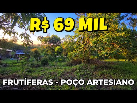 [1000] CHÁCARA EM TAQUARA 2.549 M², FRUTÍFERAS, ROÇA, LUZ, POÇO ARTESIANO R$ 69 MIL #chacara