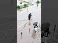 замена покрышки