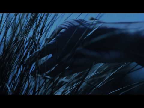 SANDSCAPE - Artificial Rush [Official Video]