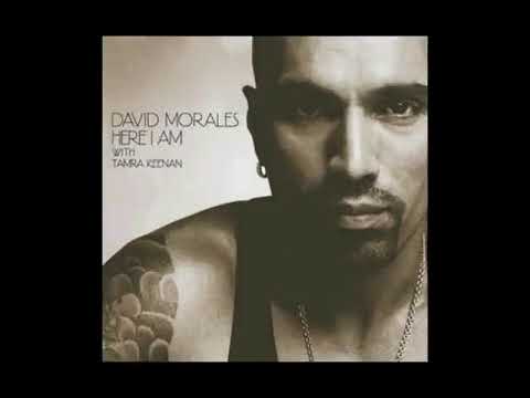 David Morales - Here I Am (Kaskade Remix) Feat. Tamra Keenan