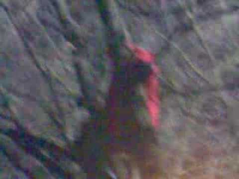 45 Rajd Barbórka pt."Zostaw kibica"