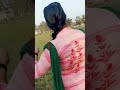 Dance Hot Village Girl Hot Dance Desi Girl Dance Aunty Bhabhi Hot Desi Girl Desigirl 3