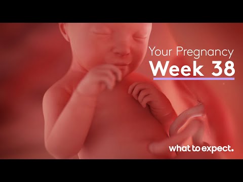Mother-Baby developments this week (Week 38)