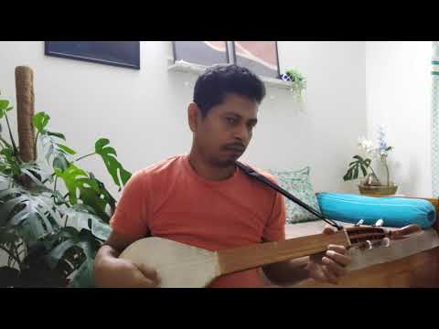 Aaj pasha khelbo re sham || Instrumental || Dotara cover