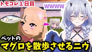 【切り抜き】プレゼントに貰ったペットのマグロを散歩させるニウに笑うてんてー【天帝フォルテ/ネオポルテ/トモダチコレクションわくわく生活】