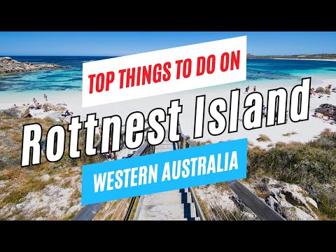 Top Things to Do on ROTTNEST ISLAND in ONE DAY, Western Australia | Rottnest Travel Guide